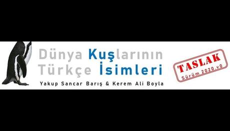 Tüm Dünya Kuşlarının Türkçe İsimleri
