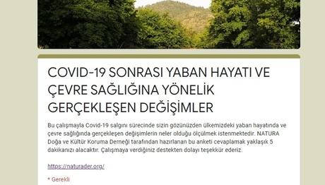 Covid 19 Sonrası Yaban Hayat
