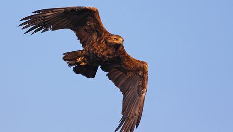 Örnek haber adı gelecek.