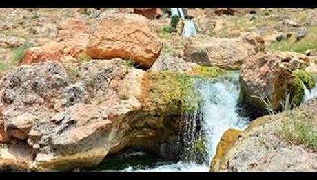 RES projesinin ÇED Raporundan: İnsan-kuş rekabetinde kaybeden kuşlar olur