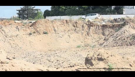 Antalyada Arı Kuşları Hırsız Kurbanı 