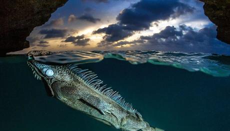 Örnek haber adı gelecek.