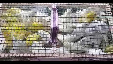 Örnek haber adı gelecek.