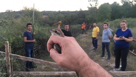 İstanbul Avcılar Kuş Halkalama İstasyonu Açıldı!