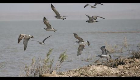 Örnek haber adı gelecek.