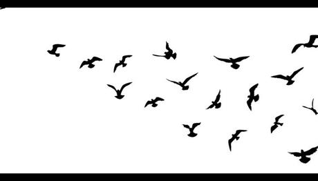 Örnek haber adı gelecek.