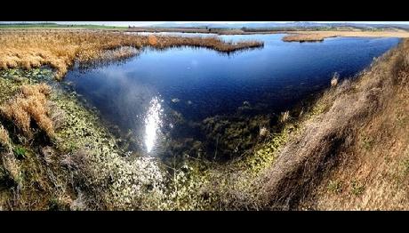 Örnek haber adı gelecek.