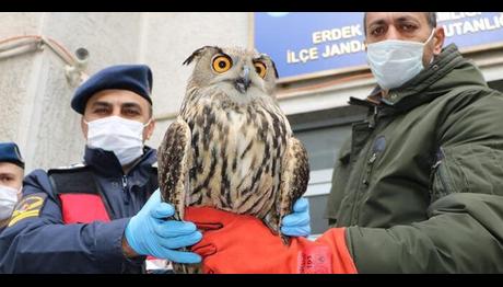 Örnek haber adı gelecek.