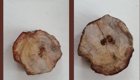 Örnek haber adı gelecek.