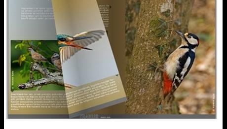 Örnek haber adı gelecek.