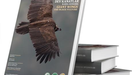 Dev Kanatlar - Kara Akbaba Kitap