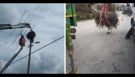 Leyleklerin Göç Güzergahları Üzerindeki Yüksek Gerilim Hatlarında Önlem Alınıyor