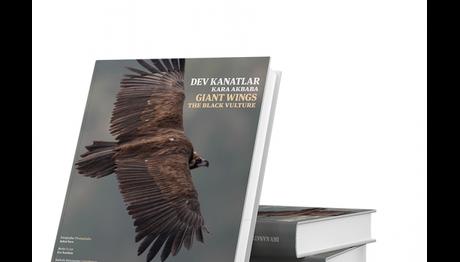 Örnek haber adı gelecek.