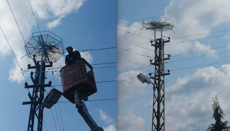 Kırklareli'de Güvenli Leylek Platformları Yerleştirildi