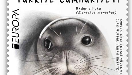 Örnek haber adı gelecek.