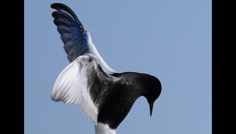 Örnek haber adı gelecek.