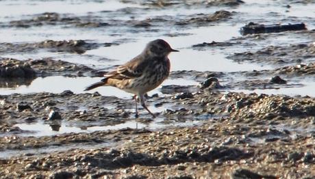Örnek haber adı gelecek.