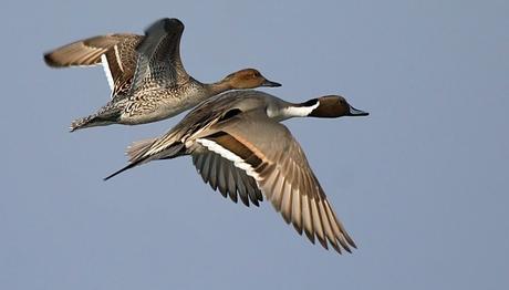 Örnek haber adı gelecek.