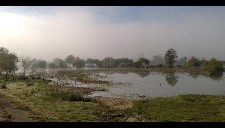 Ormanlı'dan Haber Var...