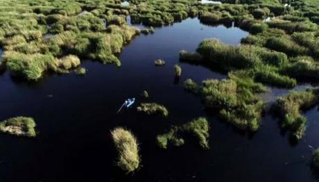 Orta Anadolunun Kuş Cenneti Misafirlerini Ağırlıyor