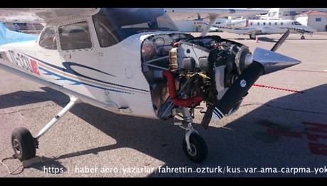 Kuş Var Ama Çarpma Yok: Havacılıkta İlginç Bir Kuş Olayı