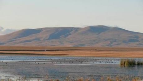 2-5 Ekim 2008 Kuyucuk Doğa Festivali