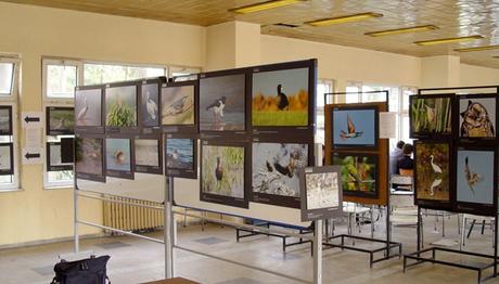 TRAKUS SERGİSİ ORMAN FAKÜLTESİNDE