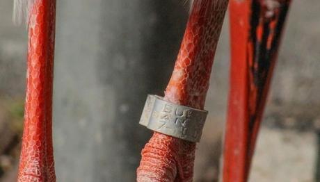 Yaşar Leylek: Göç Yolunda Başına Gelmeyen Kalmadı