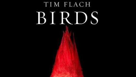 Doğaya karşı duyarlılık için kuşları fotoğrafladı