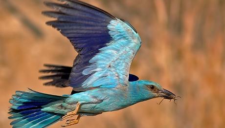 Örnek haber adı gelecek.