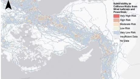 Örnek haber adı gelecek.