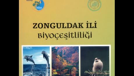 Örnek haber adı gelecek.