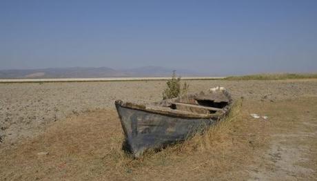 Doğa Derneği kuruyan Marmara Gölü için Ombudsman'a başvurdu