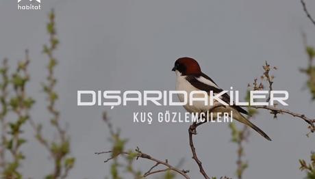 Habitat Tv - Kavak Deltası Kampı Belgeseli