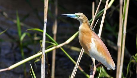 Örnek haber adı gelecek.