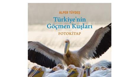 FotoKitap / Türkiye'nin Göçmen Kuşları
