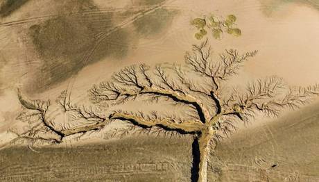 The Nature Conservancy 2022 Fotoğraf Yarışmasının kazananları açıklandı