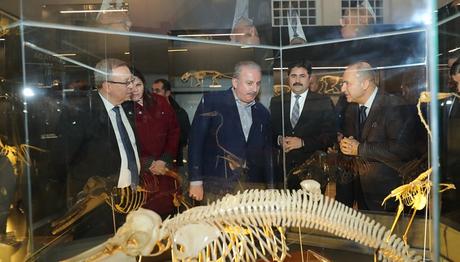 Trakya Üniversitesi Doğa Tarihi Müzesi Açıldı!