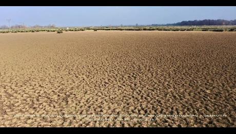 Örnek haber adı gelecek.