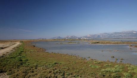 Örnek haber adı gelecek.