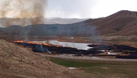 Vanda Sazlık Yangınları: Sayısız Kuş Türü Yok Oldu