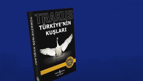 500 e doğru 