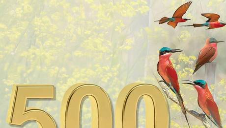 500. TÜR