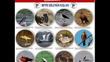 SEYFE GÖLÜ SU ŞENLİĞİ