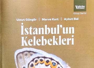  İSTANBUL'UN KELEBEKLERİ KİTABI ÇIKTI