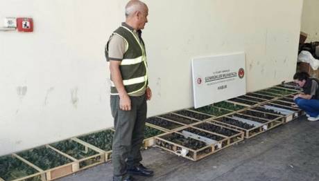 Şırnakta Saka Kuşu Kaçakçılığına, 2 milyon 292 bin TL Ceza