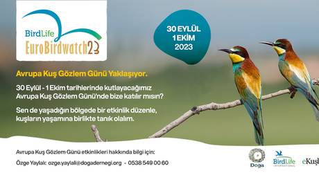 Avrupa Kuş Gözlem Günü Yaklaşıyor