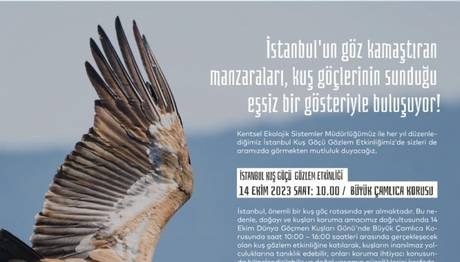 İSTANBUL KUŞ GÖÇÜ GÖZLEM ETKİNLİĞİ 