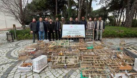 Avlanması yasak kuşları yakalayıp satanlara ceza yağdı