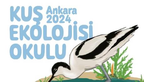 Kuş Ekolojisi Okulu 2024 Tamamlandı!